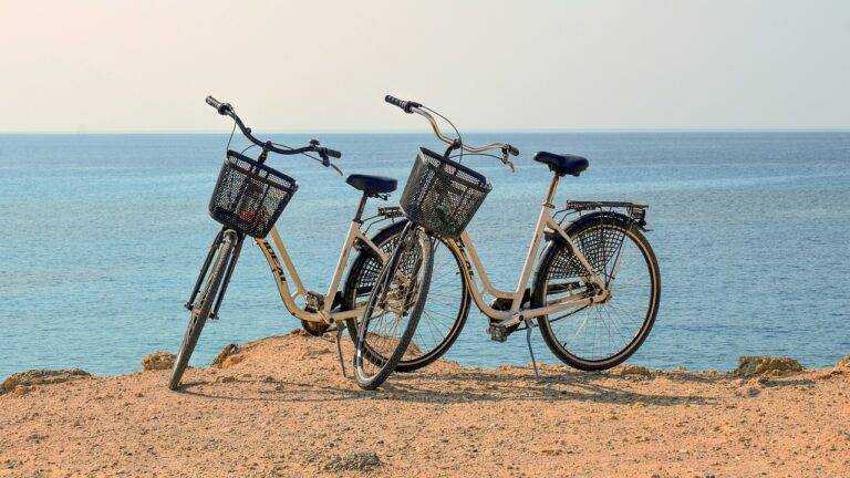 Sustainable Gardening: Tips for Eco-Friendly Practices in Your Backyard