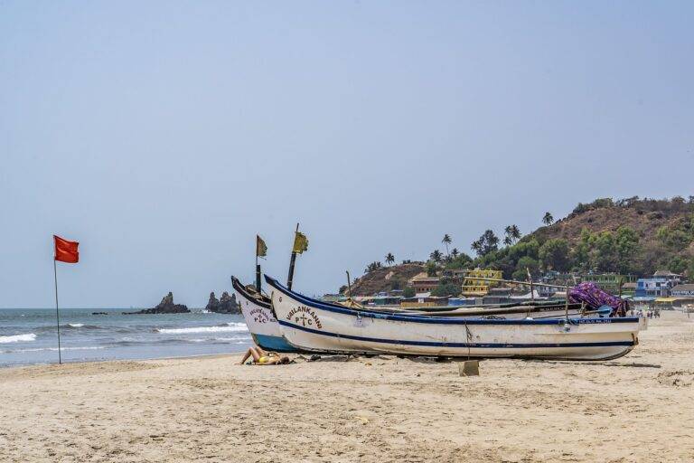 The Role of Political Analysts in Shaping Election Campaigns