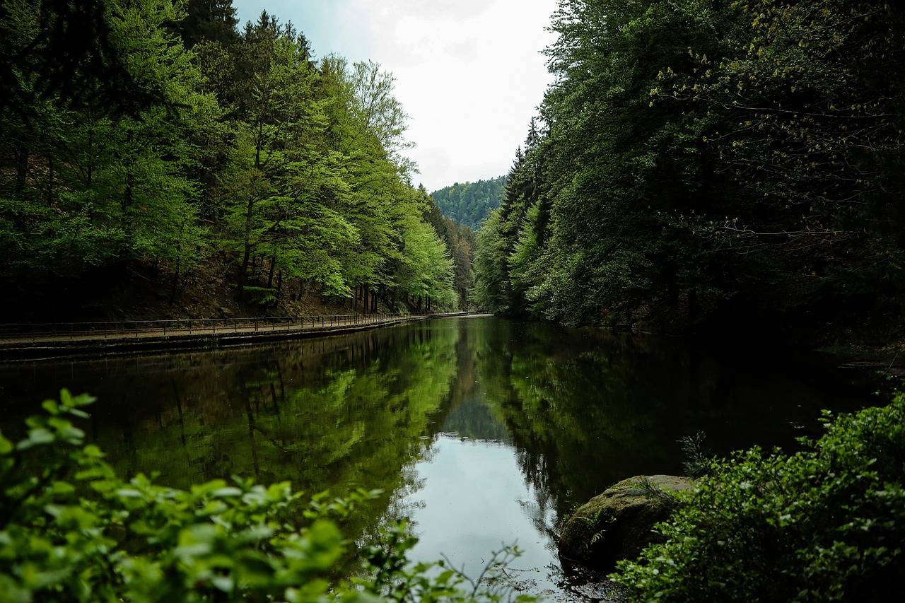 The Impact of Loneliness on Mental and Physical Health