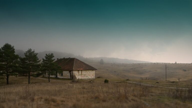 Leveraging Peer Support Programs for Mental Health in Schools